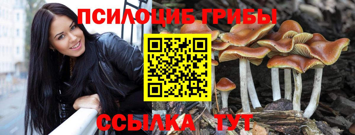 дарнет шоп  Вход с VPN  Карасук  Галлюциногенные грибы Magic Shrooms  Псилоцибиновые грибы GOLDEN TEACHER 